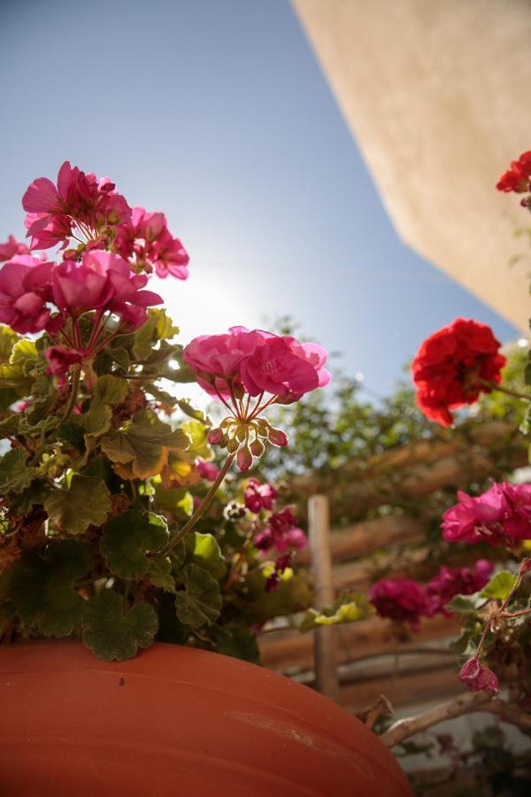 Vintage House Naxos Villa Glinado Naxos Exterior photo